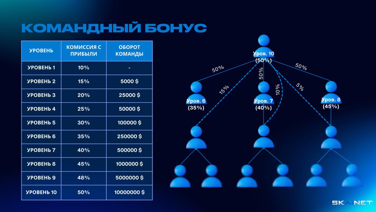 ТЕАМ БОНУС